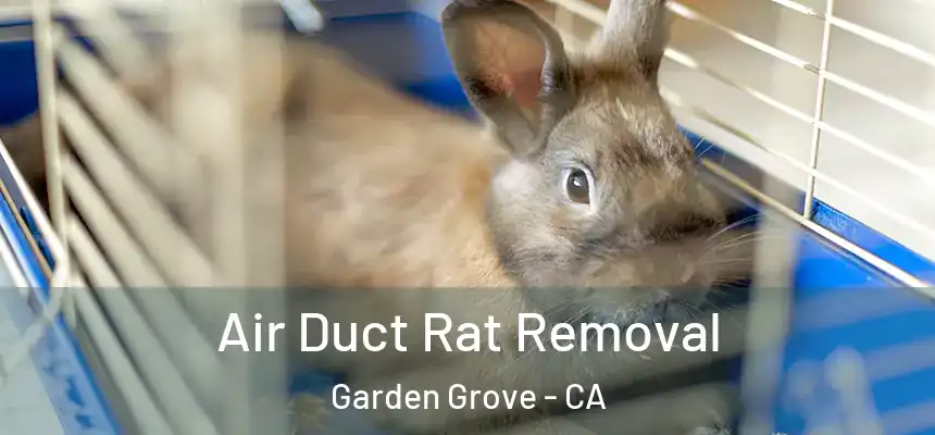Air Duct Rat Removal Garden Grove - CA