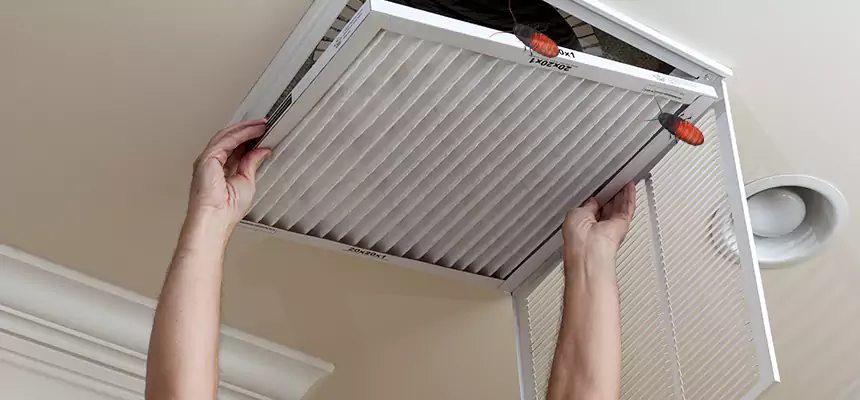 Preventive Cockroach-Proofing for Ducts in Garden Grove