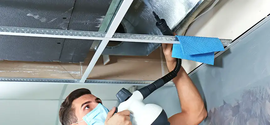 Our Air Duct Rodent Removal Services in Garden Grove, CA