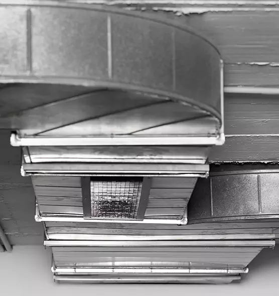 Professional Air Duct Pest Removal in Garden Grove, CA