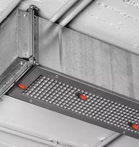 Affordable Insect Removal from Air Ducts in Garden Grove, CA