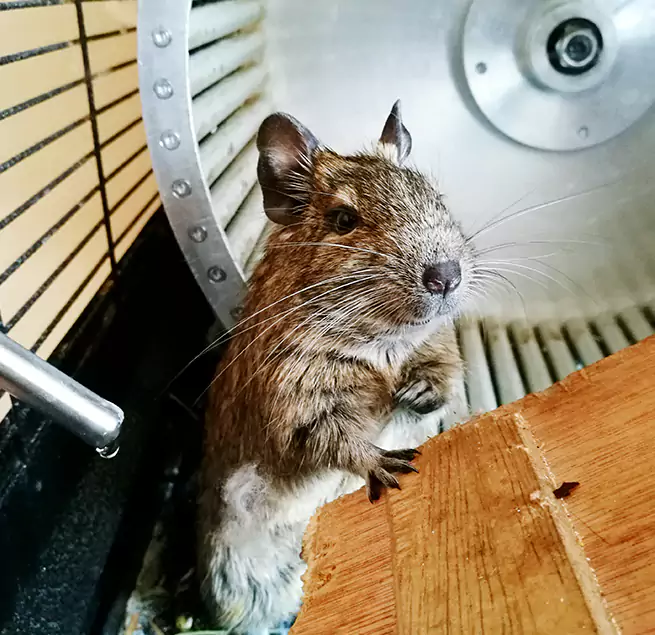 Why Homeowners & Businesses Trust Us Garden Grove, CA