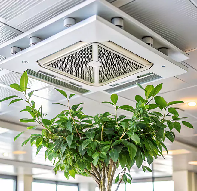 Why Homeowners & Businesses Trust Us in Garden Grove, CA