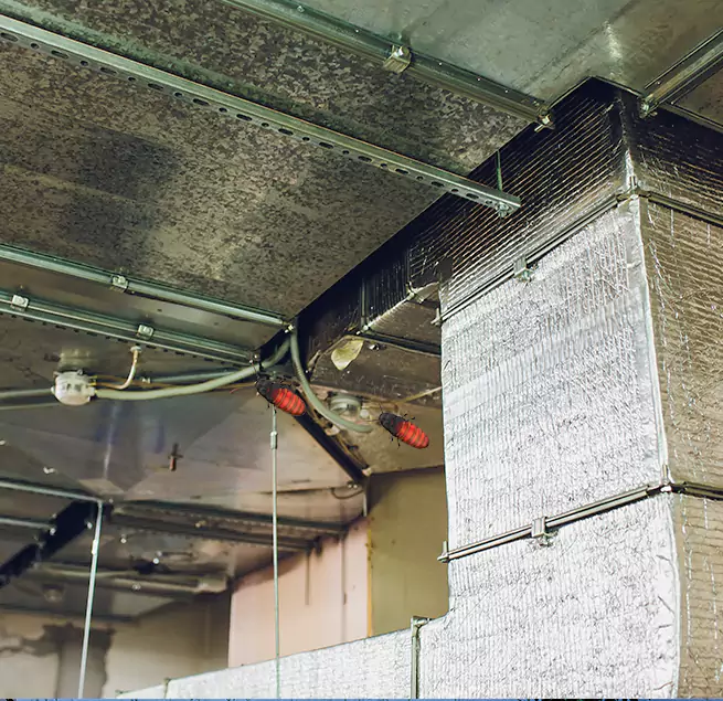 Why Homeowners & Businesses Trust Us Garden Grove, CA?