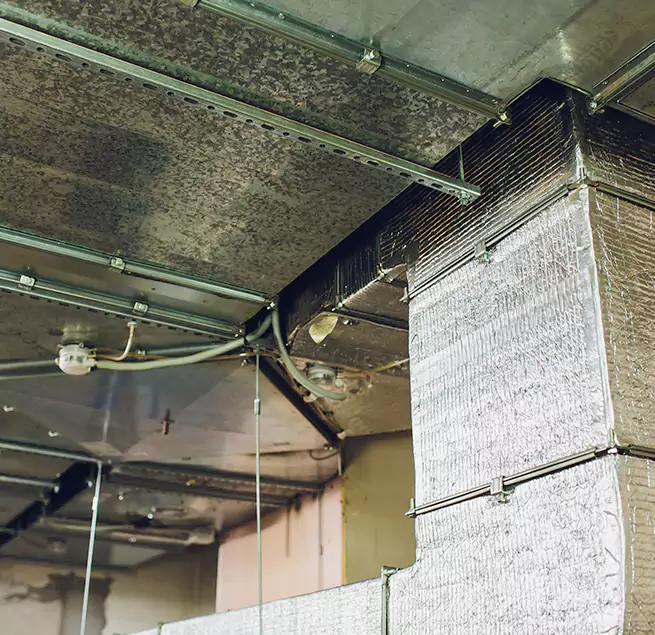 Why Homeowners & Businesses Trust Us in Garden Grove, CA?